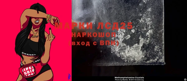 гидра Вяземский