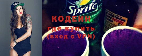 гидра Вяземский
