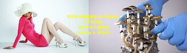 гидра Вяземский