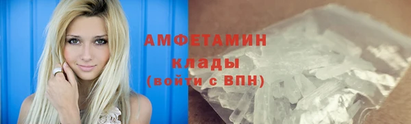 гидра Вяземский