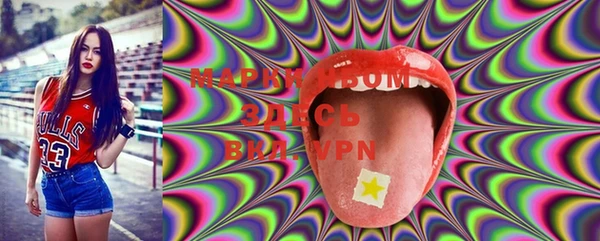 гидра Вяземский