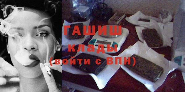 гидра Вяземский