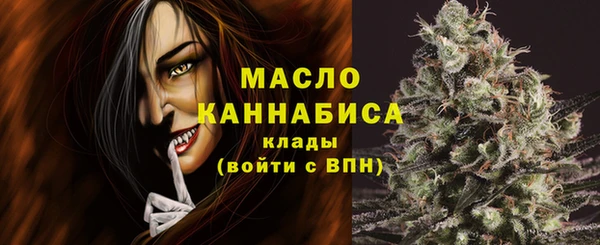 гидра Вяземский