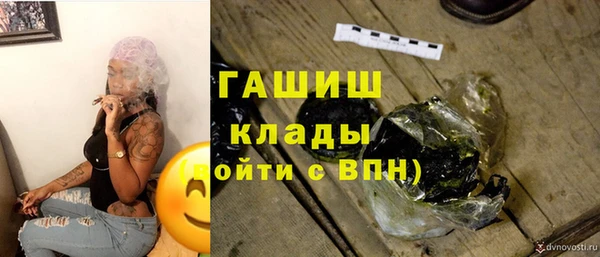 гидра Вяземский