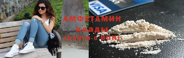 гидра Вяземский