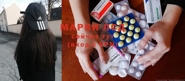 гидра Вяземский